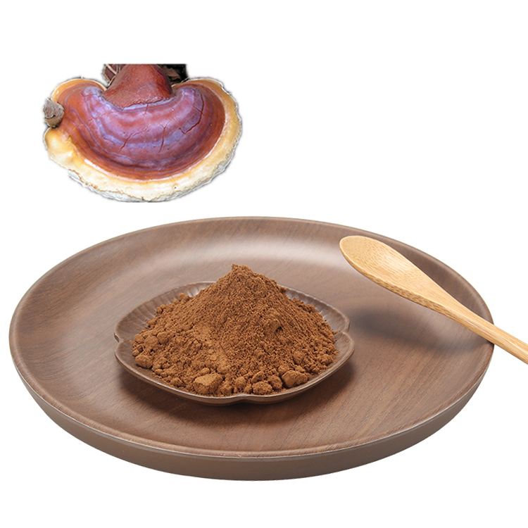 Mushroom Powder Natural Reishi Lions Mane Cordyceps Chaga Maitake Reishi Mushroom Ganoderma Lucidum Extract 40% Polysaccharides